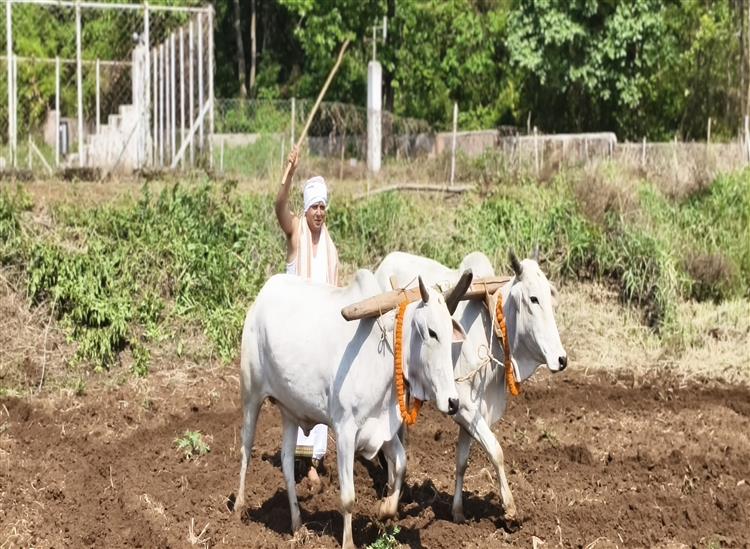 Odishakhabar:Akhi-muthi-in-kjr