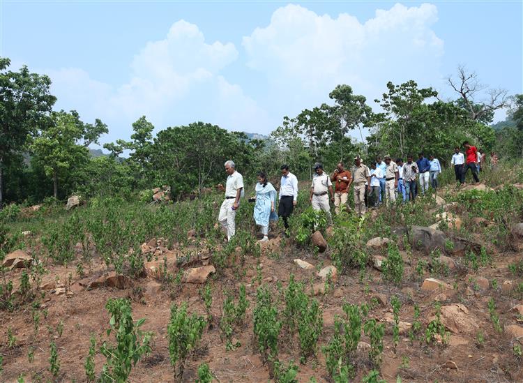 Odishakhabar:Cs-at-nagada
